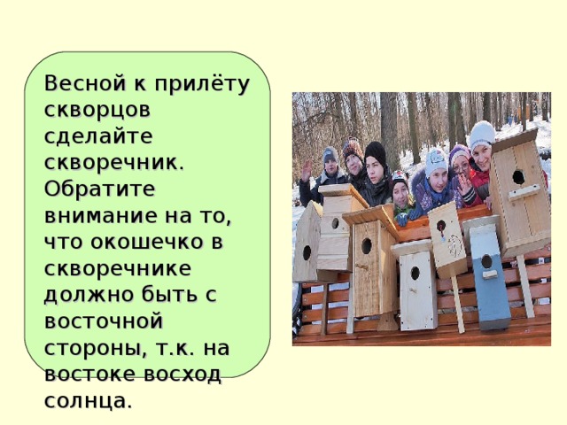 Весной к прилёту скворцов сделайте скворечник. Обратите внимание на то, что окошечко в скворечнике должно быть с восточной стороны, т.к. на востоке восход солнца.