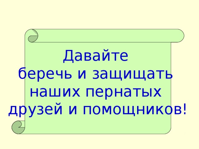 Давайте беречь и защищать наших пернатых друзей и помощников!