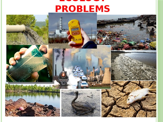 Ecology Problems