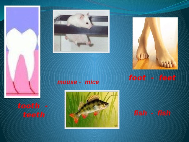 foot - feet    fish - fish  mouse - mice tooth - teeth