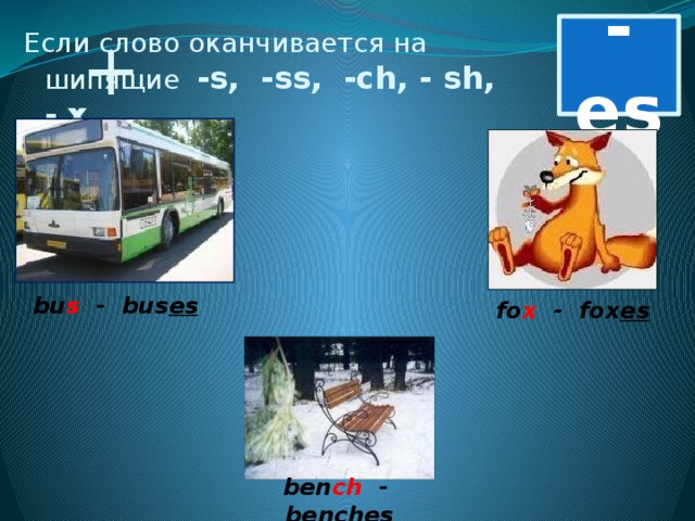 -es  +  Если слово оканчивается на шипящие -s, -ss, -ch, - sh, - x bu s - bus es  fo x - fox es ben ch - bench es