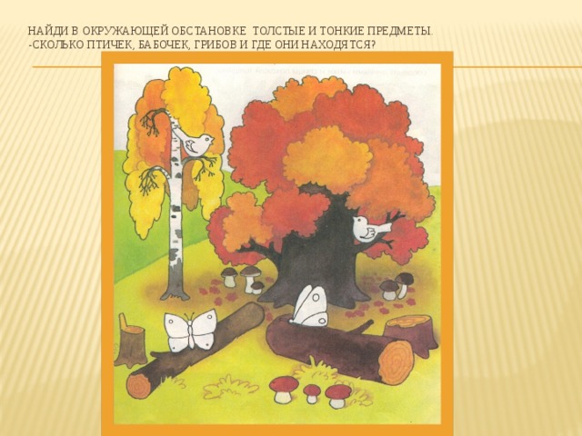 Найди в окружающей обстановке толстые и тонкие предметы.  -Сколько птичек, бабочек, грибов и где они находятся?