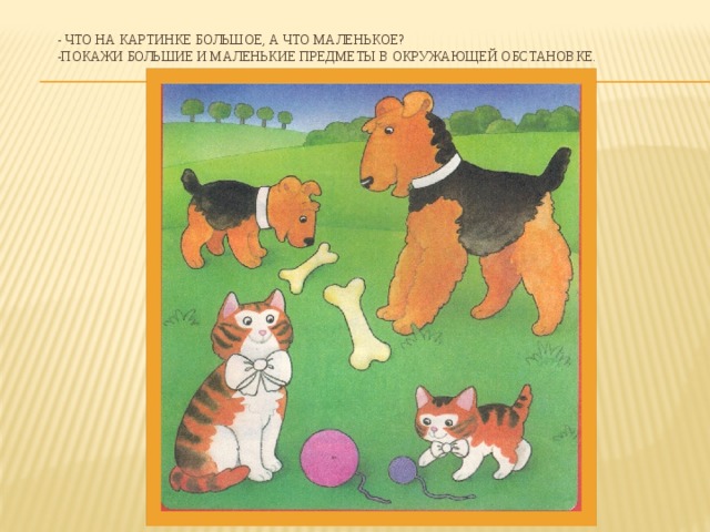 - Что на картинке большое, а что маленькое?  -Покажи большие и маленькие предметы в окружающей обстановке.