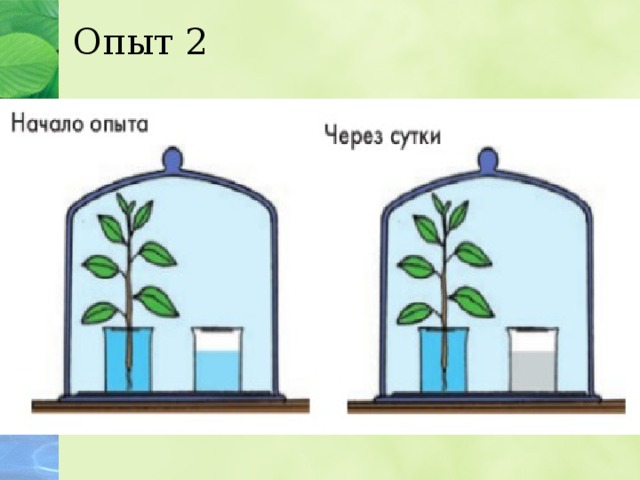 Опыт 2