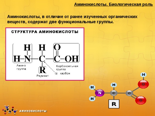 Аминокислоты. Биологическая роль Аминокислоты, в отличие от ранее изученных органических веществ, содержат две функциональные группы.