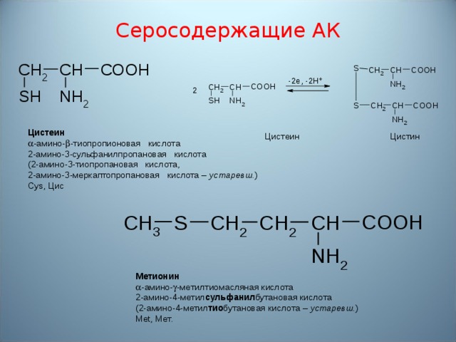 Серосодержащие АК Цистeин  -амино-  -тиопропионовая кислота 2-амино-3-сульфанилпропановая кислота (2-амино-3-тиопропановая кислота, 2-амино-3-мeркаптопропановая кислота – устаревш. ) Cys, Цис Цистеин  Цистин М e тионин  - амино-  - м e тилтиомасляная кислота 2-амино-4-метил сульфанил бутановая кислота (2-амино-4-метил тио бутановая кислота – устаревш. ) Met, Мет.