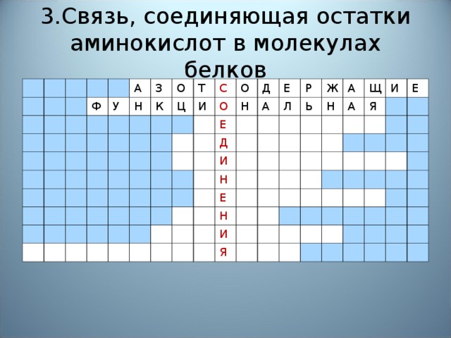 3.Связь, соединяющая остатки аминокислот в молекулах белков Ф А У З Н О К Т Ц С И О О Д Н Е Д А Е Р Л И Ь Ж Н А Н Е Щ А Н И Я И Е Я