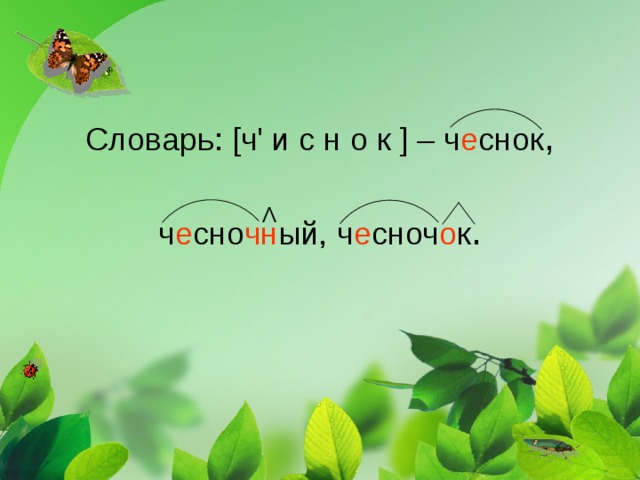 Словарь: [ ч ' и с н о к ] – ч е снок ,   ч е сно чн ый, ч е сноч о к .   Λ