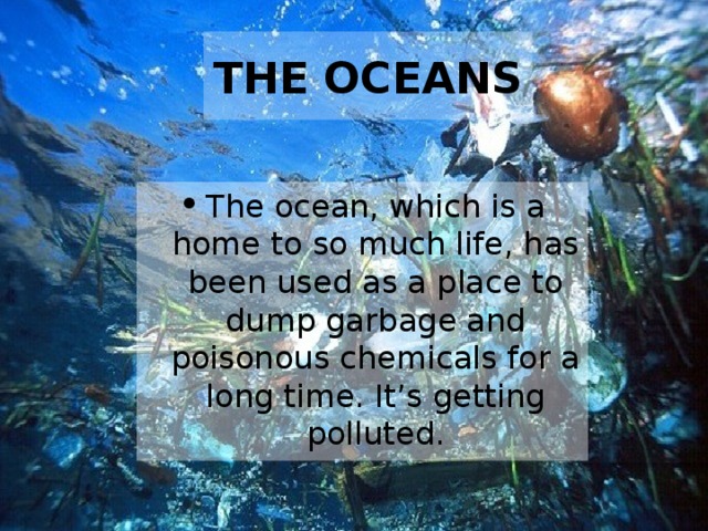 THE OCEANS
