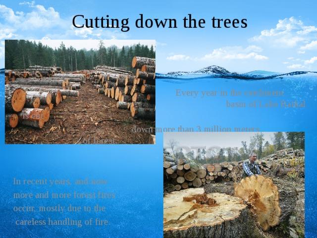 Cutting down the trees   Every year in the catchment / basin of Lake Baikal is cut . down more than 3 million meters . of forest. In recent years, and now more and more forest fires occur, mostly due to the  careless handling of fire.