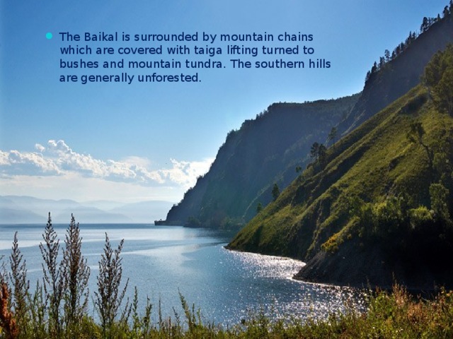 The  Baikal is surrounded by mountain chains which are covered with taiga lifting turned to bushes and mountain tundra. The southern hills are generally unforested.