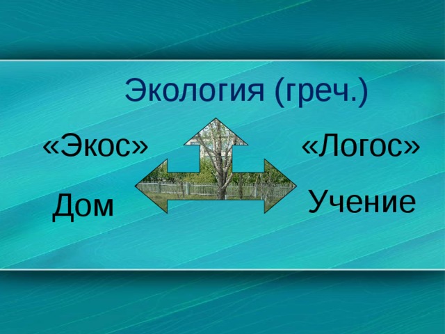 Экология (греч.) «Экос» «Логос» Учение Дом