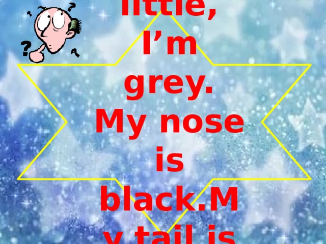 I’m little, I’m grey. My nose is black.My tail is long
