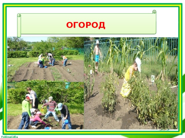 Огород