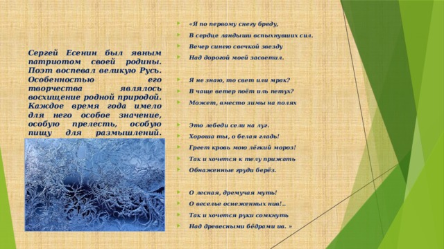 Сергей Есенин был явным патриотом своей родины. Поэт воспевал великую Русь. Особенностью его творчества являлось восхищение родной природой. Каждое время года имело для него особое значение, особую прелесть, особую пищу для размышлений. Зима была временем, когда хочется думать о прошлом, будущем, и просто о жизни в целом. Его, как русского человека, не пугали морозы.  «Я по первому снегу бреду, В сердце ландыши вспыхнувших сил. Вечер синею свечкой звезду Над дорогой моей засветил.  Я не знаю, то свет или мрак? В чаще ветер поёт иль петух? Может, вместо зимы на полях  Это лебеди сели на луг. Хороша ты, о белая гладь! Греет кровь мою лёгкий мороз! Так и хочется к телу прижать Обнаженные груди берёз.  О лесная, дремучая муть! О веселье оснеженных нив!.. Так и хочется руки сомкнуть Над древесными бёдрами ив. »
