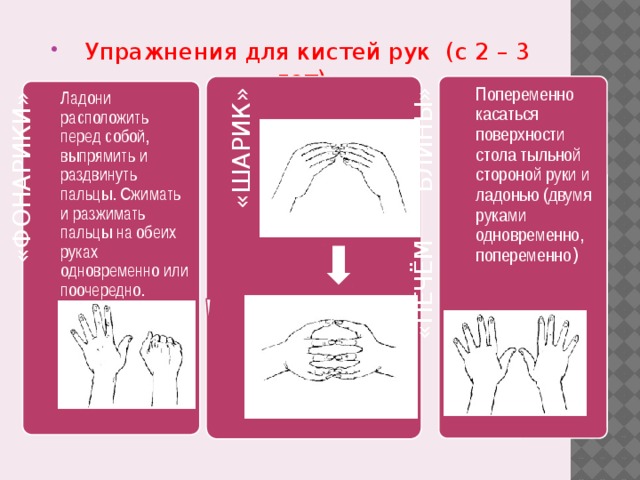 Упражнения для кистей рук (с 2 – 3 лет)