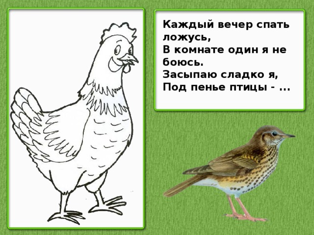 Каждый вечер спать ложусь,  В комнате один я не боюсь.  Засыпаю сладко я,  Под пенье птицы - ...