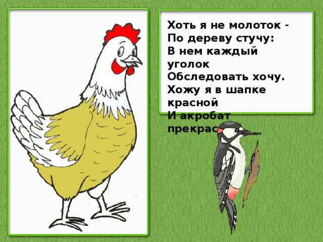 Хоть я не молоток - По дереву стучу: В нем каждый уголок Обследовать хочу. Хожу я в шапке красной И акробат прекрасный.