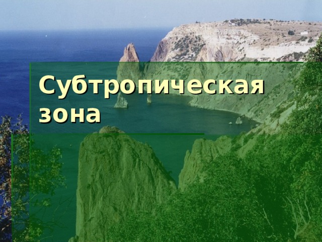 Субтропическая зона