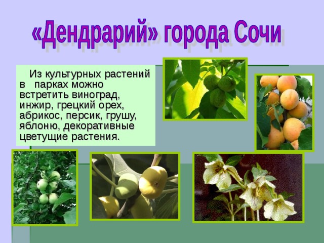 Из культурных растений в парках можно встретить виноград, инжир, грецкий орех, абрикос, персик, грушу, яблоню, декоративные цветущие растения.