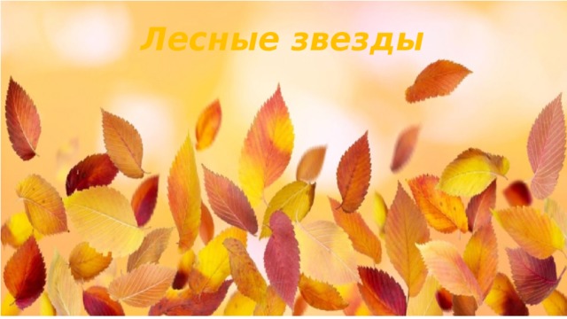 Лесные звезды