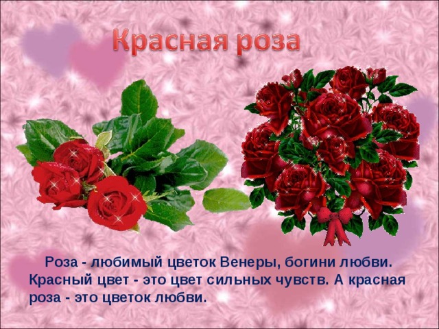 Роза - любимый цветок Венеры, богини любви. Красный цвет - это цвет сильных чувств. А красная роза - это цветок любви.
