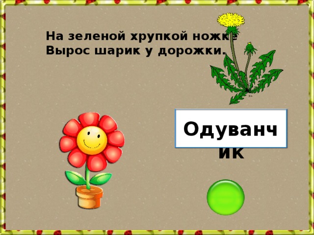 Одуванчик у дорожки в пышной шапке падежи. На зелёной хрупкой ножке вырос шарик у дорожки. Загадка на зелёной хрупкой ножке вырос шарик у дорожки. На зелёной хрупкой ножке. Дорожка одуванчиков.