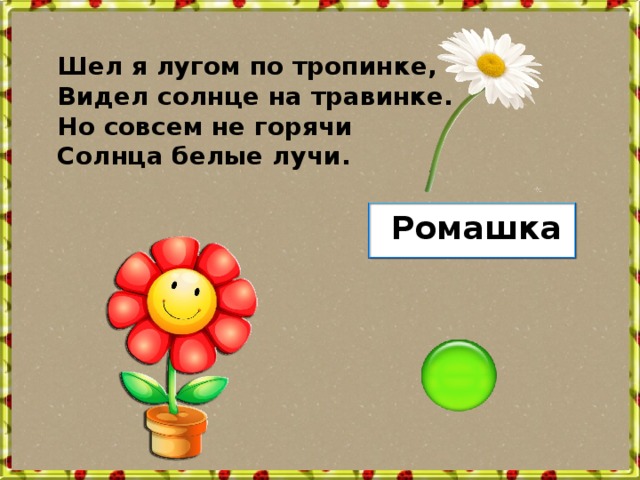 Шел я лугом по тропинке, Видел солнце на травинке. Но совсем не горячи Солнца белые лучи. Ромашка