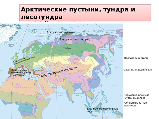 Арктическая пустыня характеристика природной зоны по плану