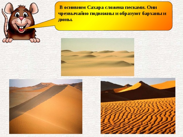 В основном Сахара сложена песками. Они чрезвычайно подвижны и образуют барханы и дюны.