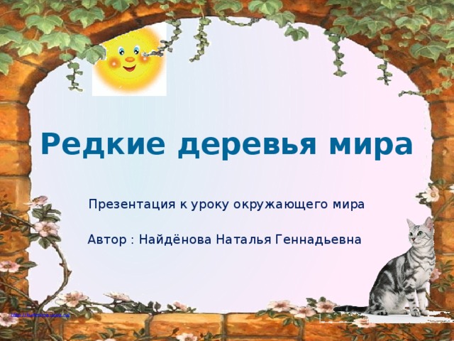 Редкие деревья мира Презентация к уроку окружающего мира Автор : Найдёнова Наталья Геннадьевна