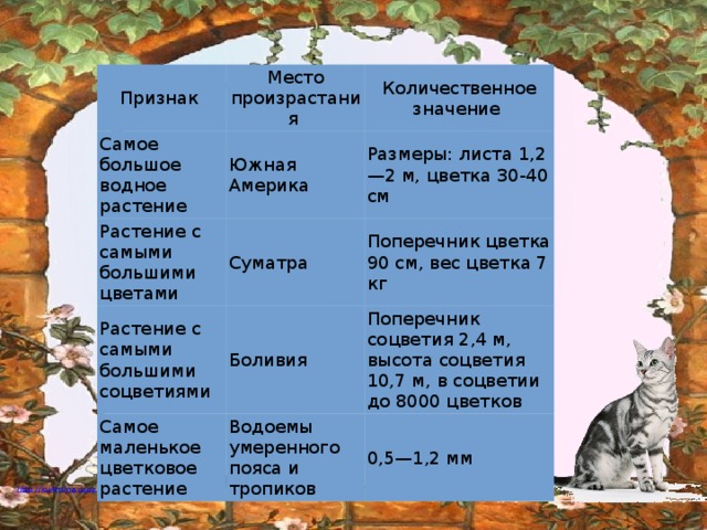 Признак Место произрастания Самое большое водное растение Количественное значение Южная Америка Растение с самыми большими цветами Размеры: листа 1,2—2 м, цветка 30-40 см Суматра Растение с самыми большими соцветиями Поперечник цветка 90 см, вес цветка 7 кг Боливия Самое маленькое цветковое растение Поперечник соцветия 2,4 м, высота соцветия 10,7 м, в соцветии до 8000 цветков Водоемы умеренного пояса и тропиков 0,5—1,2 мм