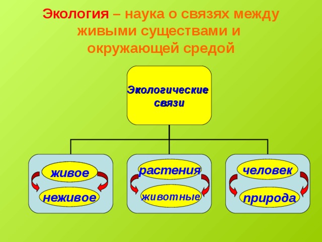 Экология – наука о связях между живыми существами и  окружающей средой Экологические связи человек растения живое животные неживое природа