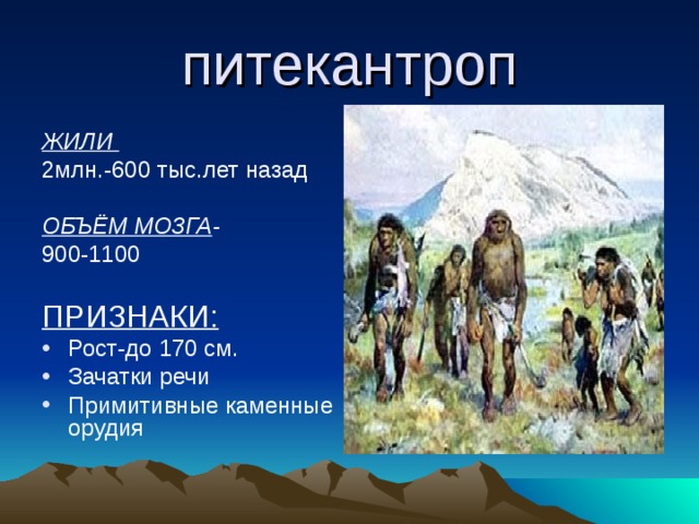 питекантроп ЖИЛИ 2млн.-600 тыс.лет назад ОБЪЁМ МОЗГА -  900-1100 ПРИЗНАКИ: