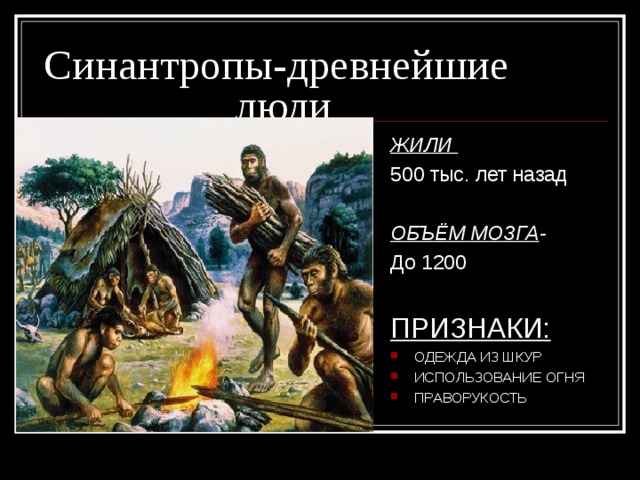 Синантропы - древнейшие     люди ЖИЛИ 500 тыс. лет назад ОБЪЁМ МОЗГА -  До 1200 ПРИЗНАКИ: