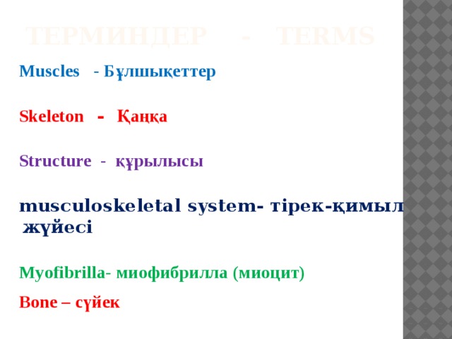 Терминдер - Terms Muscles - Бұлшықеттер  Skeleton - Қаңқа  Structure - құрылысы  musculoskeletal system- тірек-қимыл жүйесі  Myofibrilla- миофибрилла (миоцит)  Bone – сүйек