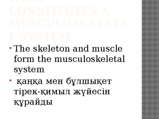 what constitutes a musculoskeletal system