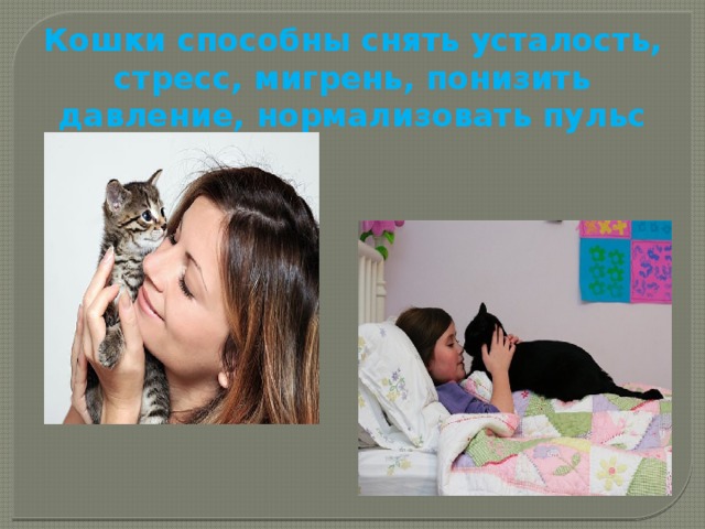 Кошки способны снять усталость, стресс, мигрень, понизить давление, нормализовать пульс