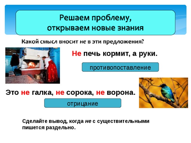 Не печь кормит, а руки. противопоставление Это не галка, не сорока, не ворона. отрицание Сделайте вывод, когда не с существительными пишется раздельно.