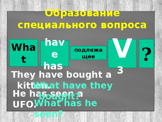 Образование специального вопроса What ?  V 3  have has подлежащее They have bought a kitten. What have they bought? He has seen a UFO. What has he seen?