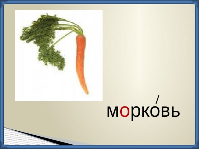 морковь м о рковь