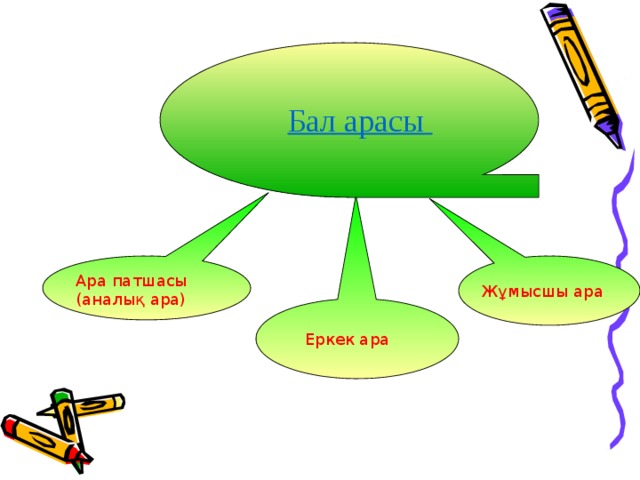 Бал арасы Ара патшасы (аналық ара) Жұмысшы ара Еркек ара