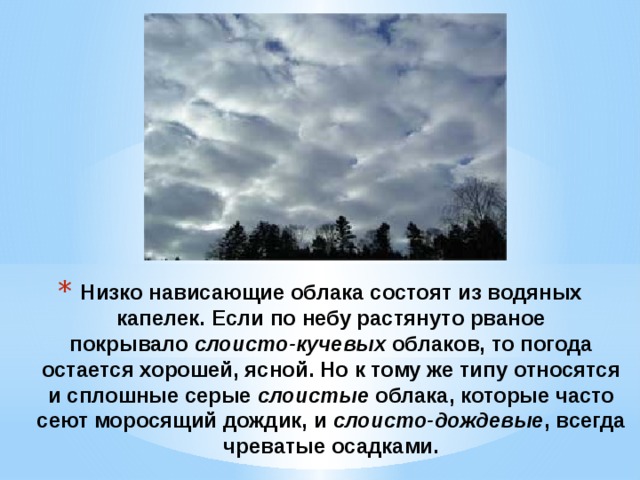 Низко нависающие облака состоят из водяных капелек. Если по небу растянуто рваное покрывало  слоисто-кучевых  облаков, то погода остается хорошей, ясной. Но к тому же типу относятся и сплошные серые слоистые облака, которые часто сеют моросящий дождик, и слоисто-дождевые , всегда чреватые осадками.