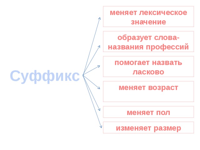 меняет лексическое значение образует слова- названия профессий помогает назвать ласково Суффикс меняет возраст   меняет пол изменяет размер