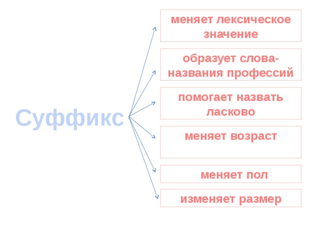 меняет лексическое значение образует слова- названия профессий помогает назвать ласково Суффикс меняет возраст   меняет пол  изменяет размер