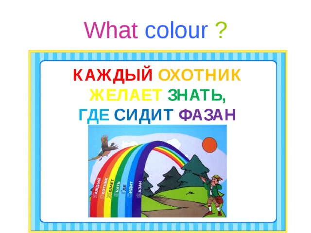 What  colour  ?