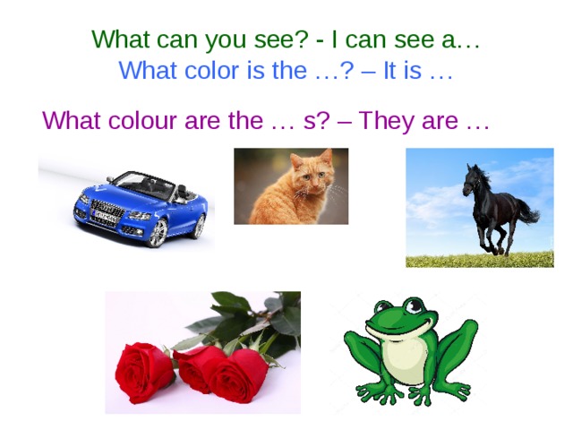 What can you see? - I can see a…  What color is the …? – It is …  What colour are the … s? – They are …
