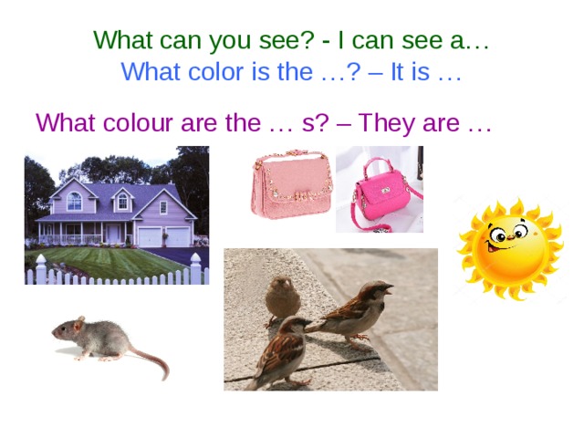What can you see? - I can see a…  What color is the …? – It is … What colour are the … s? – They are …