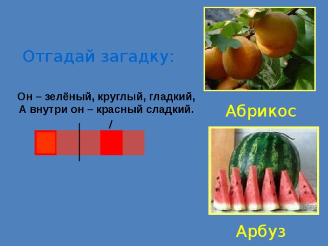 Отгадай загадку: Он – зелёный, круглый, гладкий, А внутри он – красный сладкий. Абрикос Арбуз