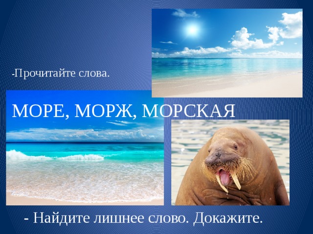 Море слов условие